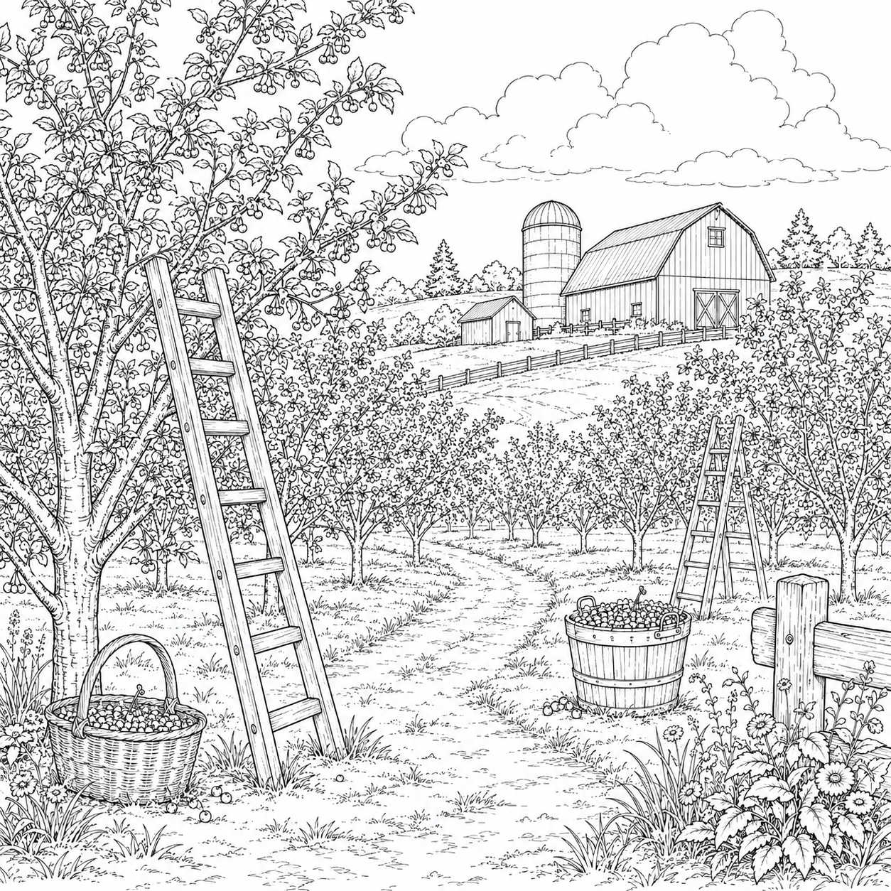Door County Wisconsin Coloring Book