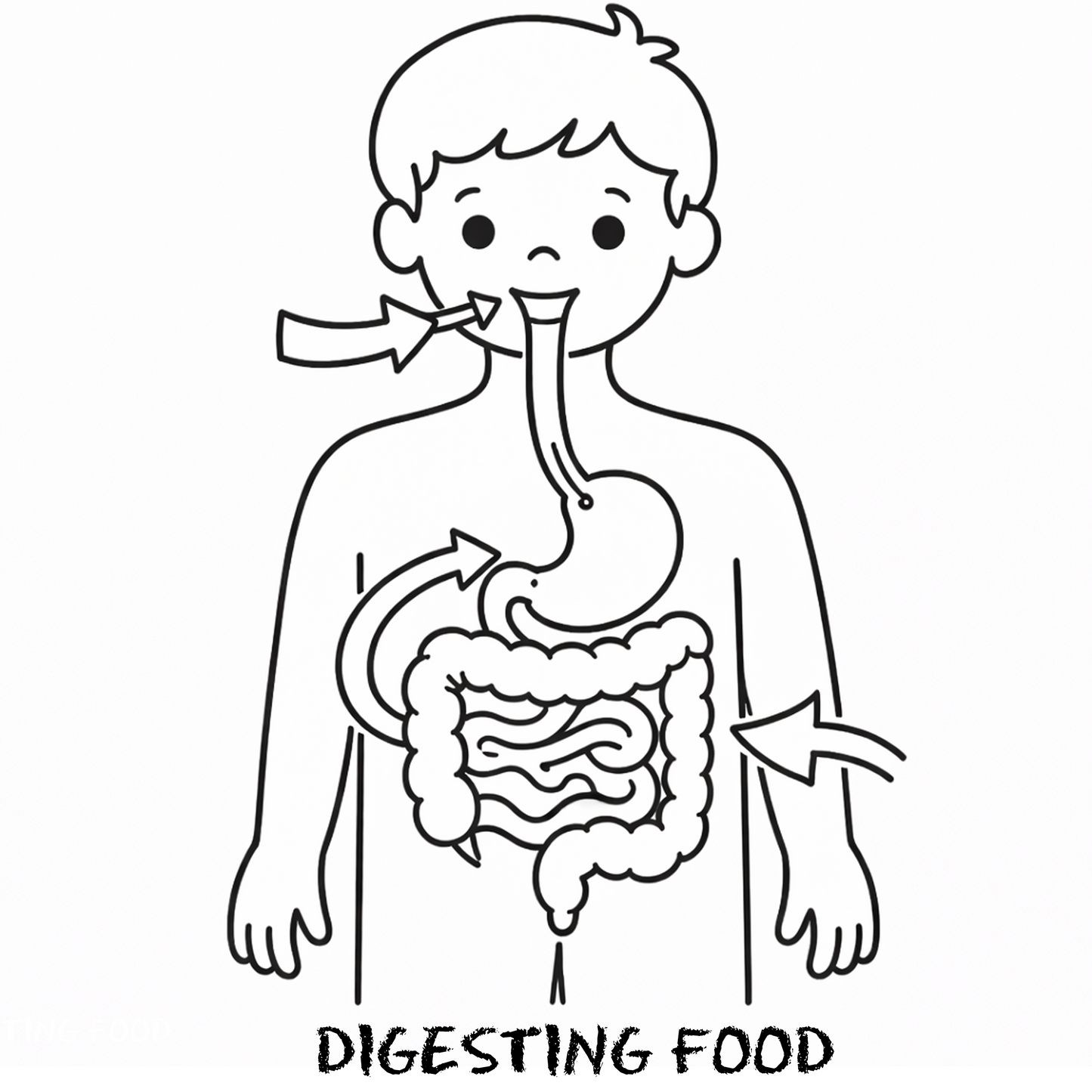 Learn and Color How Your Body Works: An Educational Human Body Coloring Book for Kids Ages 4–8