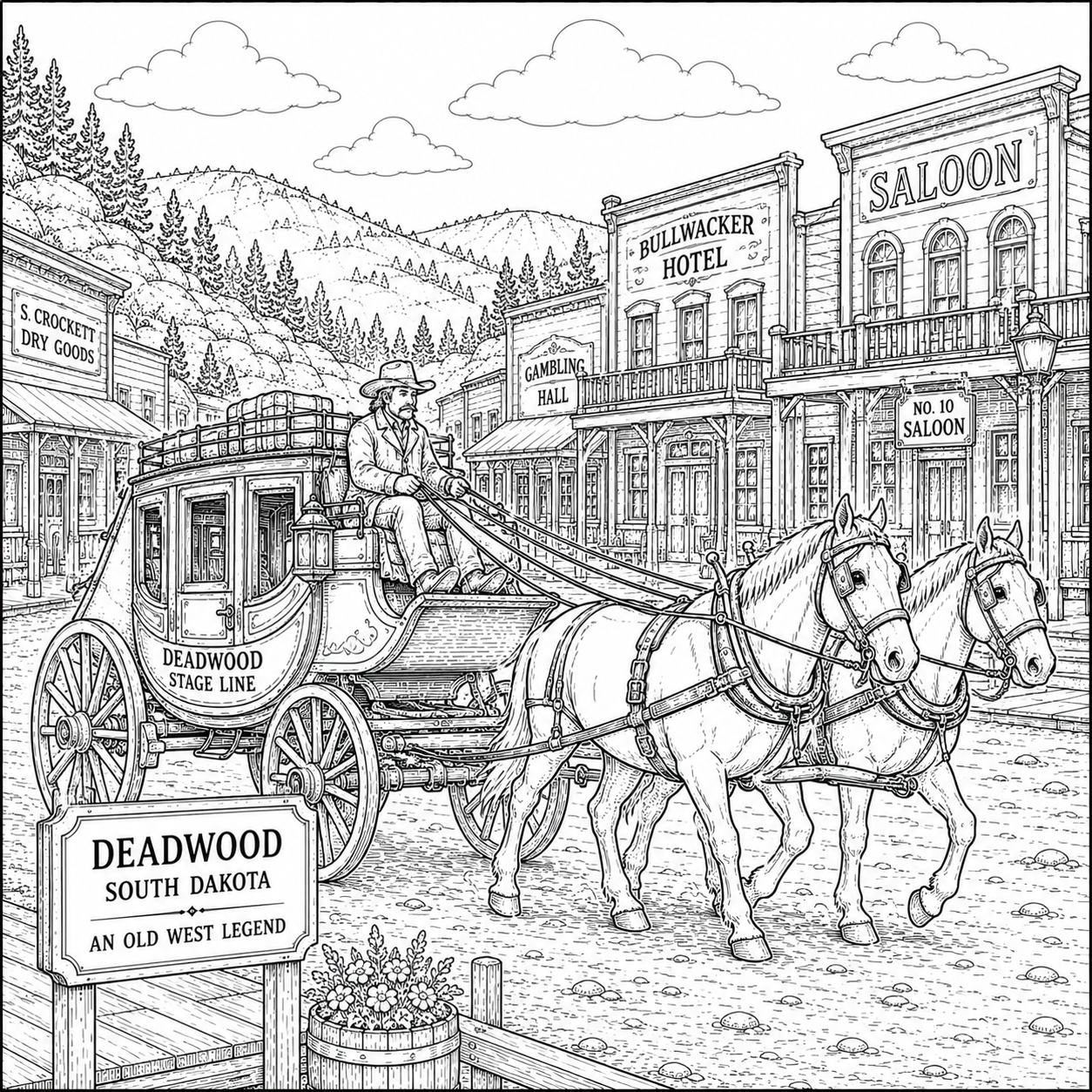 Black Hills of South Dakota Coloring Book
