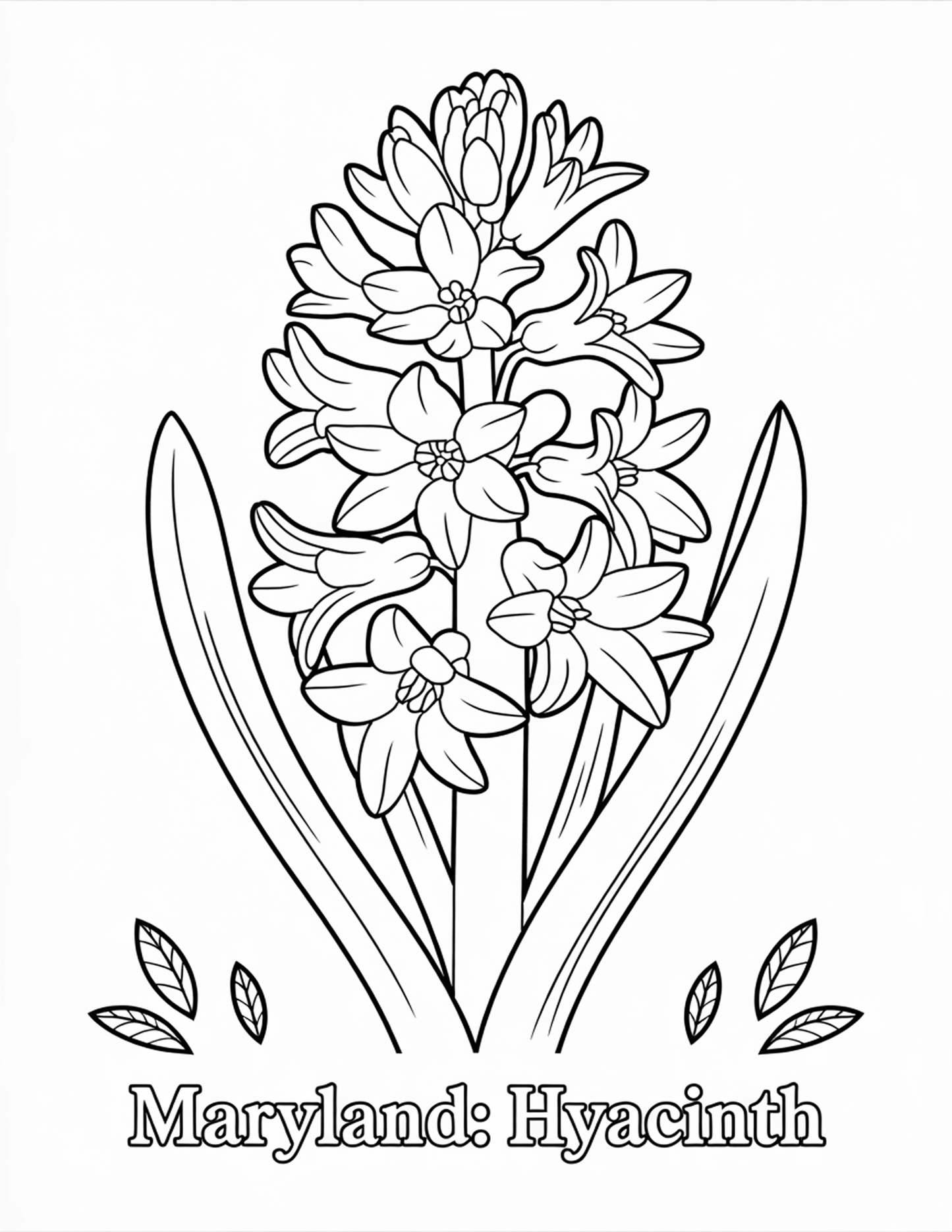 STATE FLOWERS COLORING BOOK