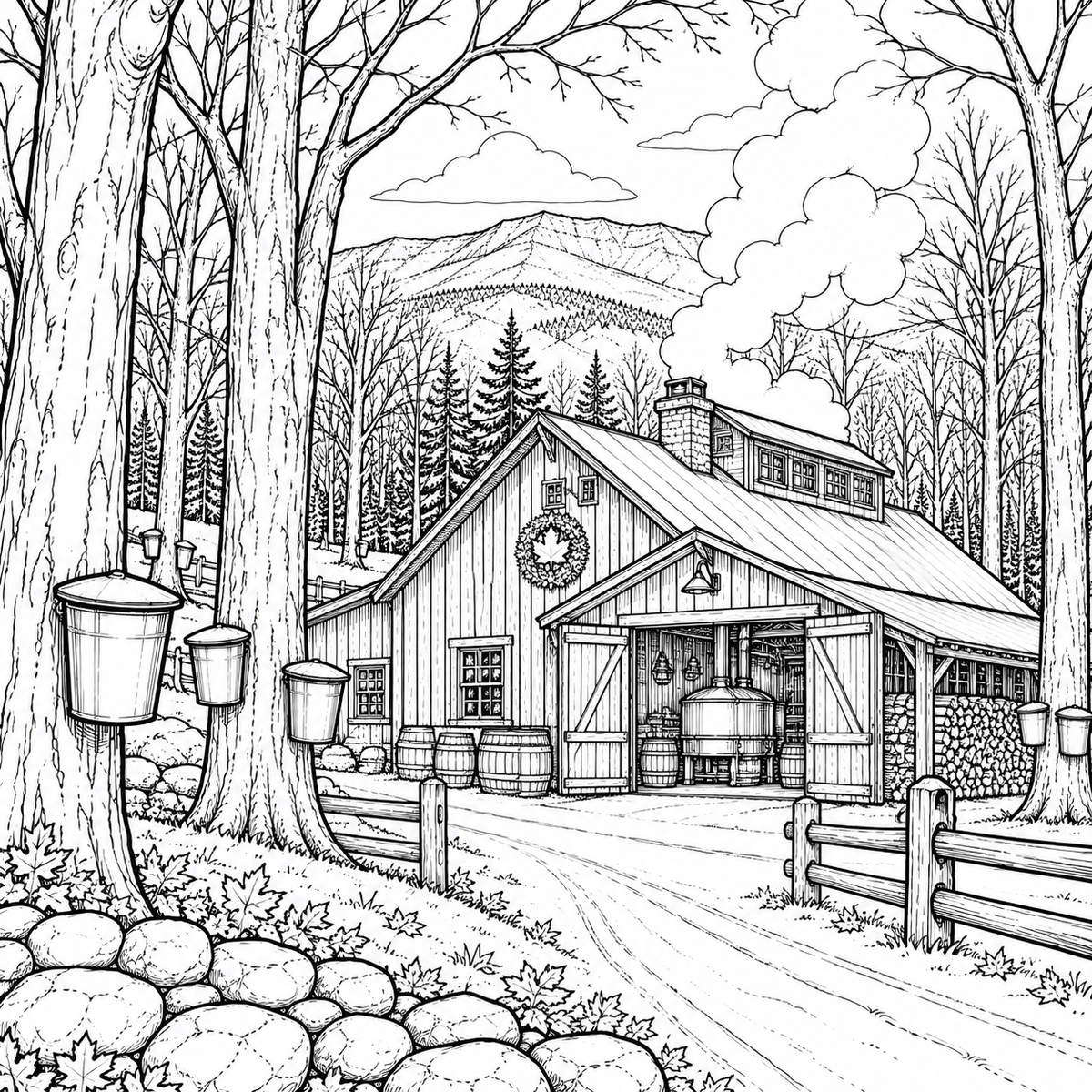 Stowe Vermont Coloring Book 12 Wholesale Books