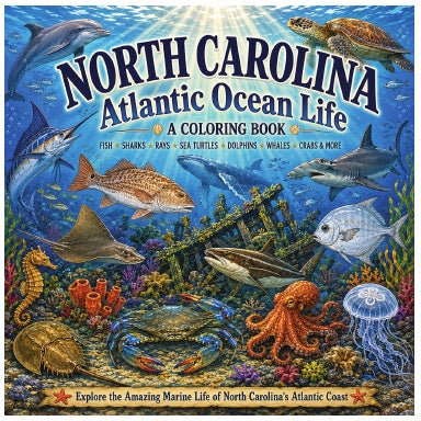 Book Cover Variant Thumbnail